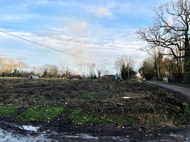 Clear felled, timber stacked and site raked ready for timber to be removed and replanted.
